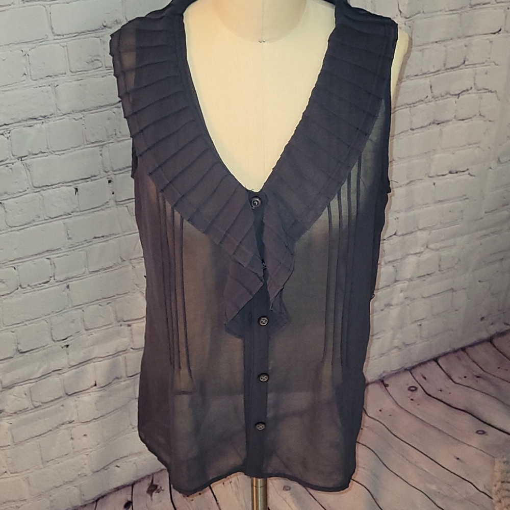 Sheer Navy Banana Republic Top